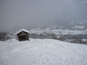 togari1