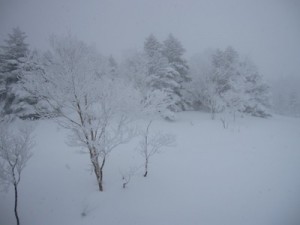 snow