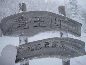 ryuoo