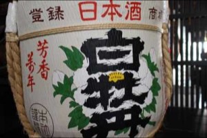 hakubotan