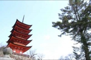 five_tower