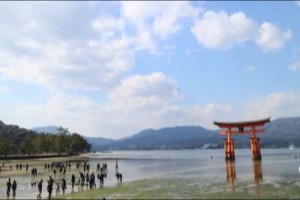 torii2