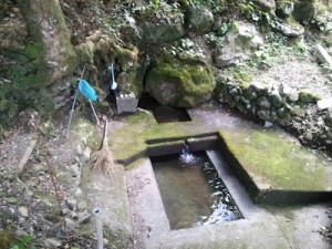 kumamoto2