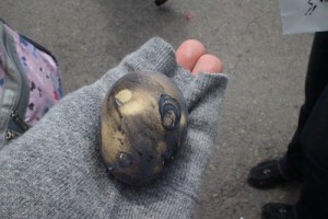 black_egg