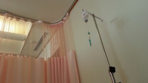 appendix