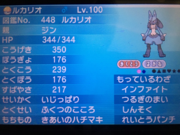 6v_ruka_2